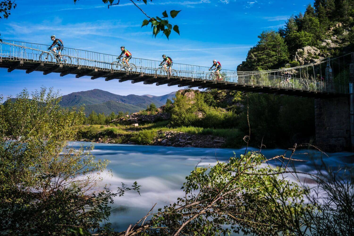 Imagen de la carrera